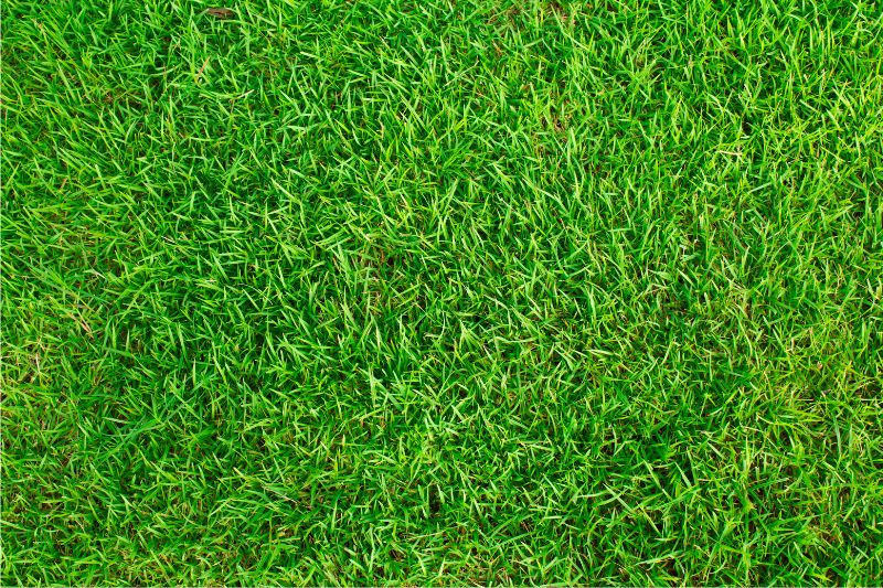 5 Facts You Should Know about Artificial Grass #beverlyhills #beverlyhillsmagazine #artificailgrass #naturalgrass #realgrass #artificiallawn