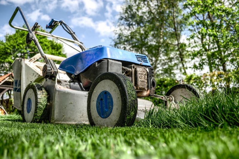 4 Tips to Get the Perfect Lawn #homeowners #dreamhomes #realestate #luxuryhomes #bevhillsmag #beverlyhills #beverlyhillsmagazine