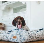 Pet Play P.L.A.Y: Luxury Toys, Beds, & Accessories #beverlyhills #bevhillsmag #beverlyhillsmagazine #pets #dogbeds